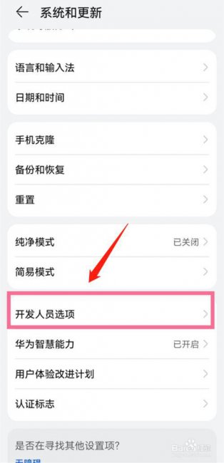 华为开发人员选项怎么打开