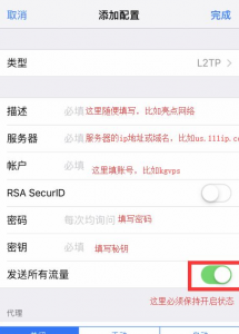 苹果手机vnp去哪里申请 内置VPN服务使用注意事项