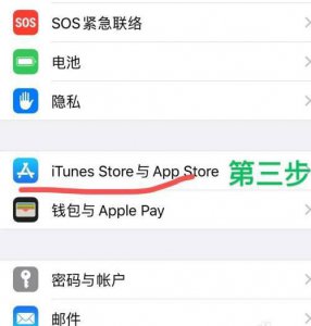 苹果手机怎么在浏览器安装应用