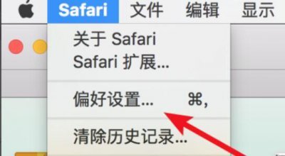 苹果safari下载的文件在哪个目录