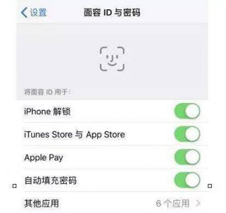 苹果需要密码启用面容id怎么解决