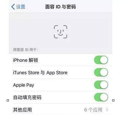 苹果需要密码启用面容id怎么解决