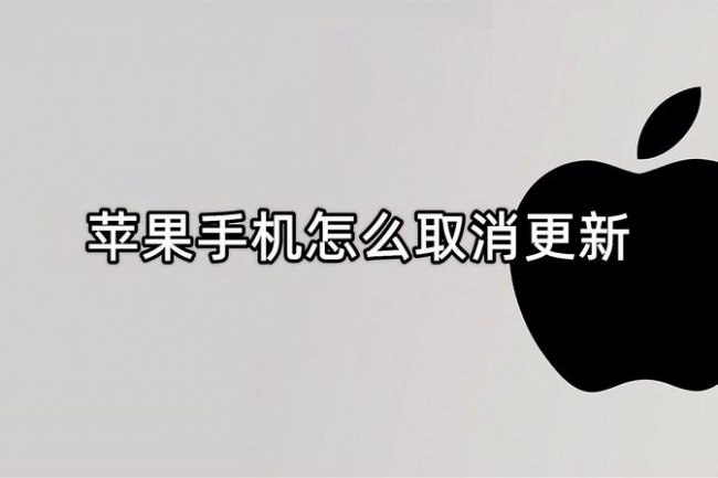 苹果手机更新中可以停止吗