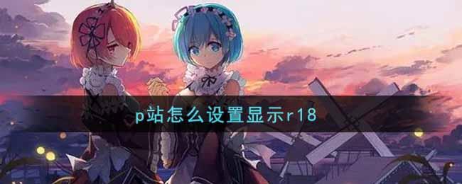 pixiv如何打开r18设置手机