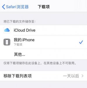 safari怎么查看下载记录及文件