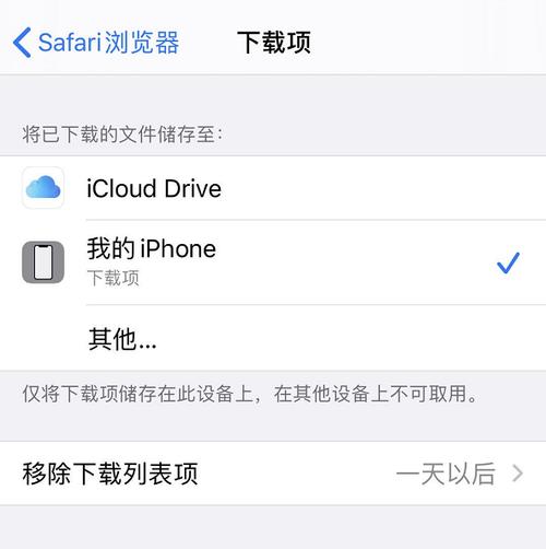 safari怎么查看下载记录及文件