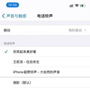 苹果手机来电没声音了如何恢复正常