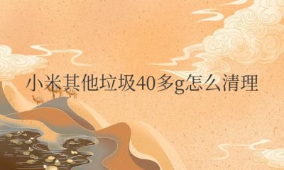 小米其他垃圾40多g怎么清理