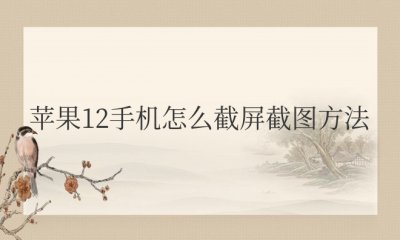 苹果手机12怎么截屏截图方法 苹果手机12如何进行截屏操作？