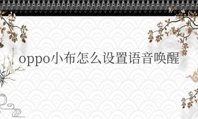 oppo小布怎么设置语音唤醒 如何在oppo小布中设置语音唤醒?