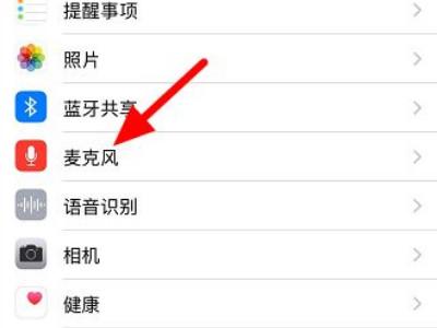 苹果麦克风权限没有app列表怎么办