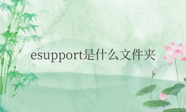 esupport是什么文件夹