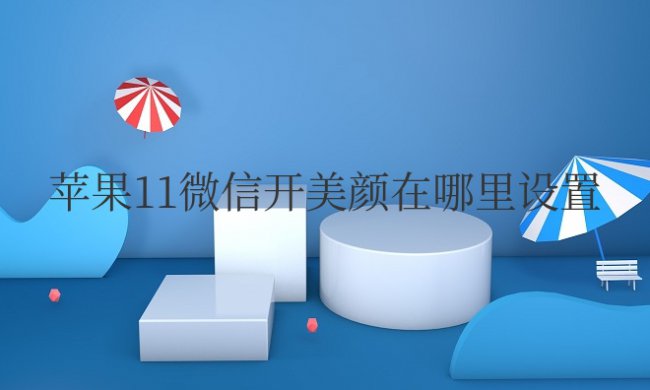 苹果11微信开美颜在哪里设置权限
