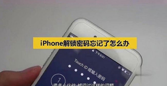 苹果手机忘了ad和密码怎么办