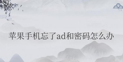 苹果手机忘了ad和密码怎么办 忘记了苹果手机的解锁密码该怎么办？
