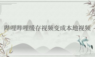 苹果哔哩哔哩缓存视频变成本地视频