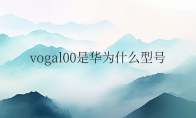 vogal00是华为什么型号 华为P30 Pro参数配置