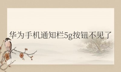 华为手机通知栏5g按钮不见了怎么恢复