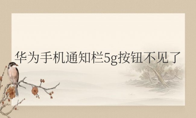 华为手机通知栏5g按钮不见了怎么恢复