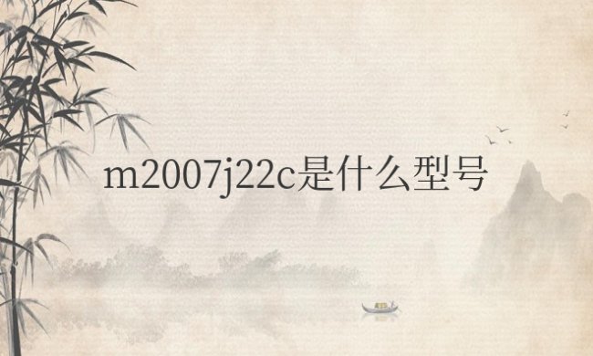 m2007j22c是什么型号