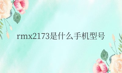红米rmx2173是什么手机型号 RealmeQ2Pro参数