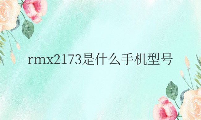 红米rmx2173是什么手机型号