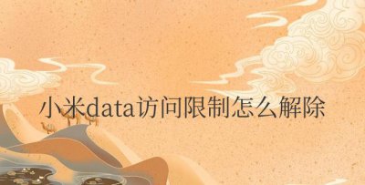 小米data访问限制怎么解除 小米Data限制解除方法有哪些？