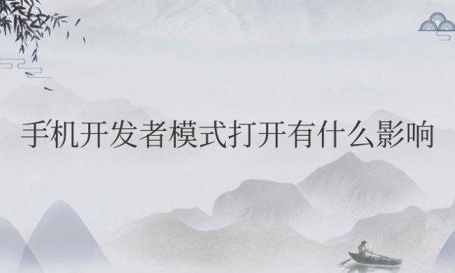 苹果手机开发者模式打开有什么影响