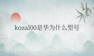 kozal00是华为什么型号 荣耀畅玩20手机性能