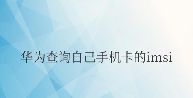 华为查询自己手机卡的imsi软件