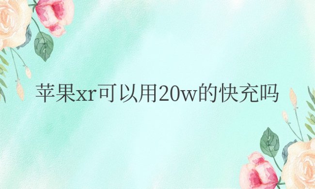 苹果xr可以用20w的快充吗