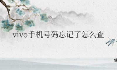 vivo手机号码忘记了怎么查询本机号