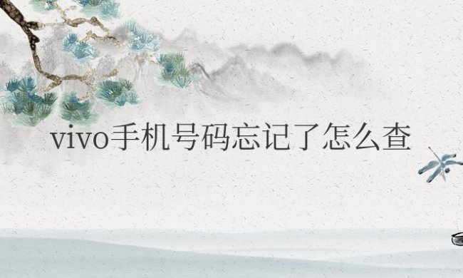 vivo手机号码忘记了怎么查询本机号