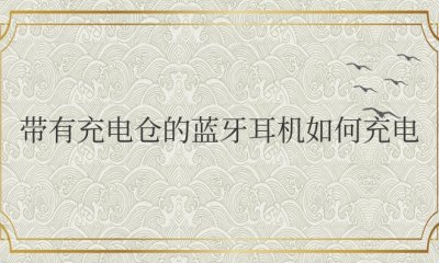 带有充电仓的蓝牙耳机如何充电 充电仓蓝牙耳机的充电方式是怎样的？