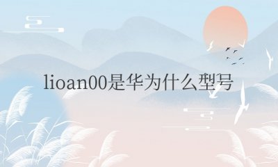 lioan00是华为什么型号 华为Mate 30 Pro 5G手机