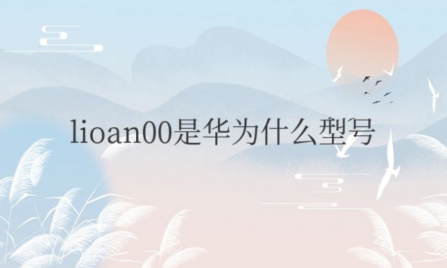 lioan00是华为什么型号