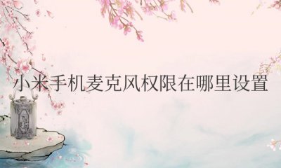 小米手机麦克风权限在哪里设置方法