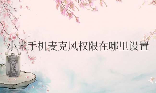 小米手机麦克风权限在哪里设置方法