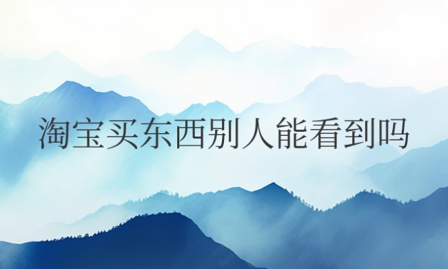 淘宝买东西别人能看到吗