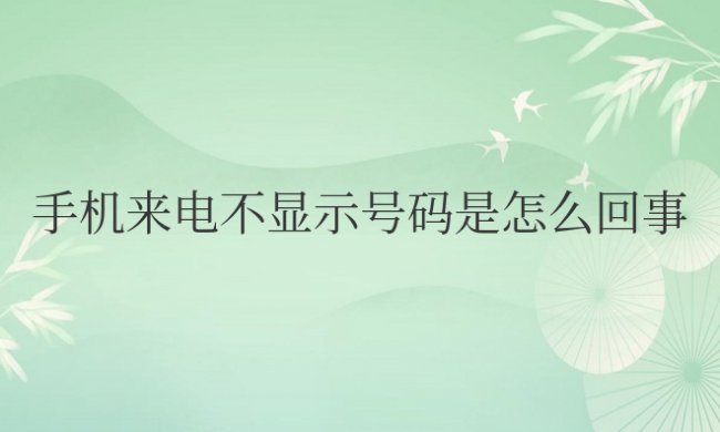 苹果手机来电不显示号码是怎么回事