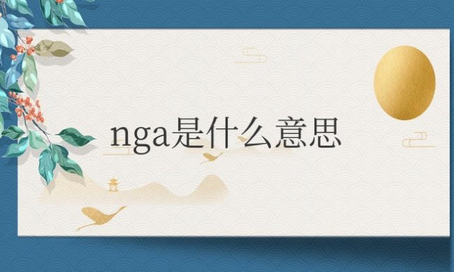 网络与nga是什么意思梗