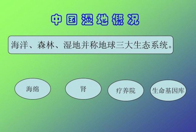 全球三大生态系统主要指哪三大