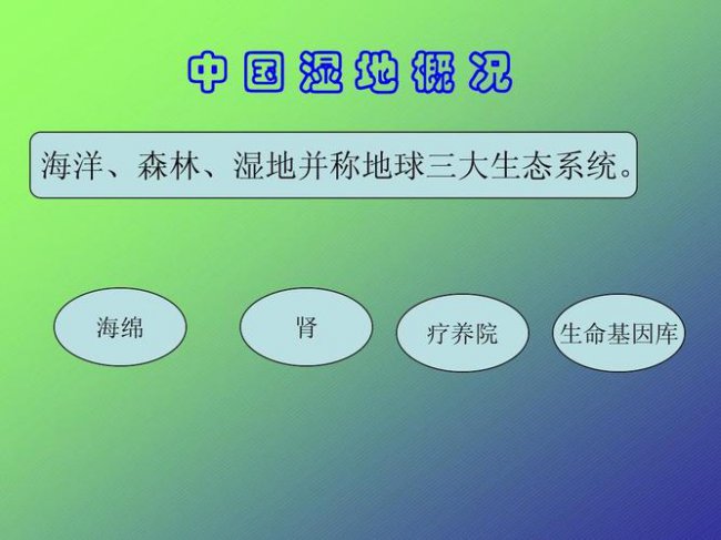 全球三大生态系统主要指哪三大