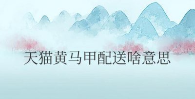 天猫黄马甲配送啥意思 为消费者提供优质上门配送服务