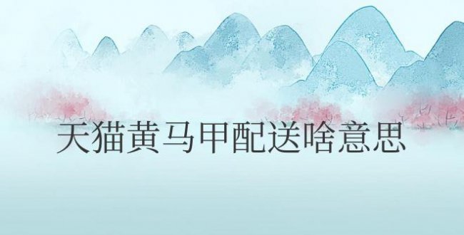 天猫黄马甲配送啥意思