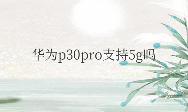 华为p30pro支持5g吗