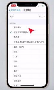 苹果手机电话铃声怎么换成歌曲 将苹果手机电话铃声更换为歌曲的步骤