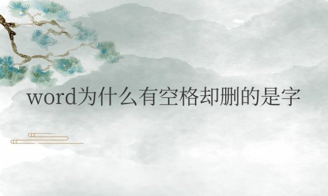 word为什么有空格却删的是字怎么处理