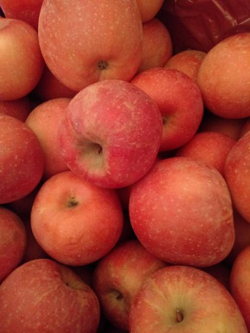 apple是可数名词还是不可数名词