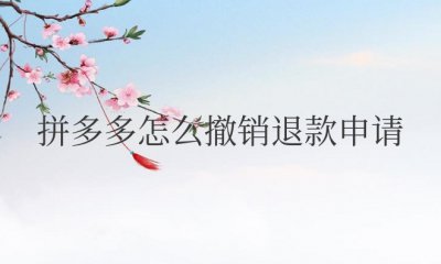 拼多多怎么撤销退款申请